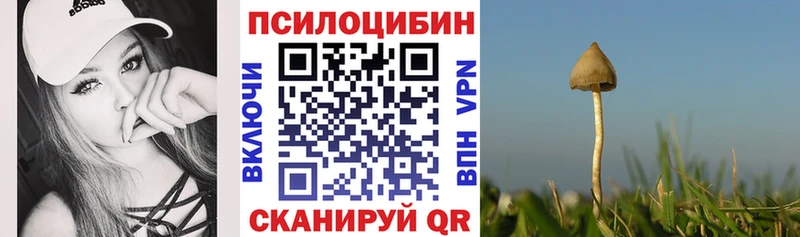 Галлюциногенные грибы Psilocybine cubensis  Новоуральск 